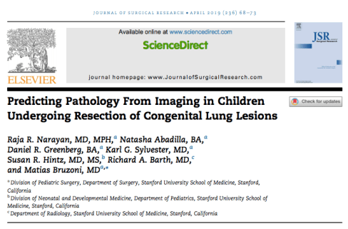 Screen Shot 2019-04-02 at 2.51.47 PM